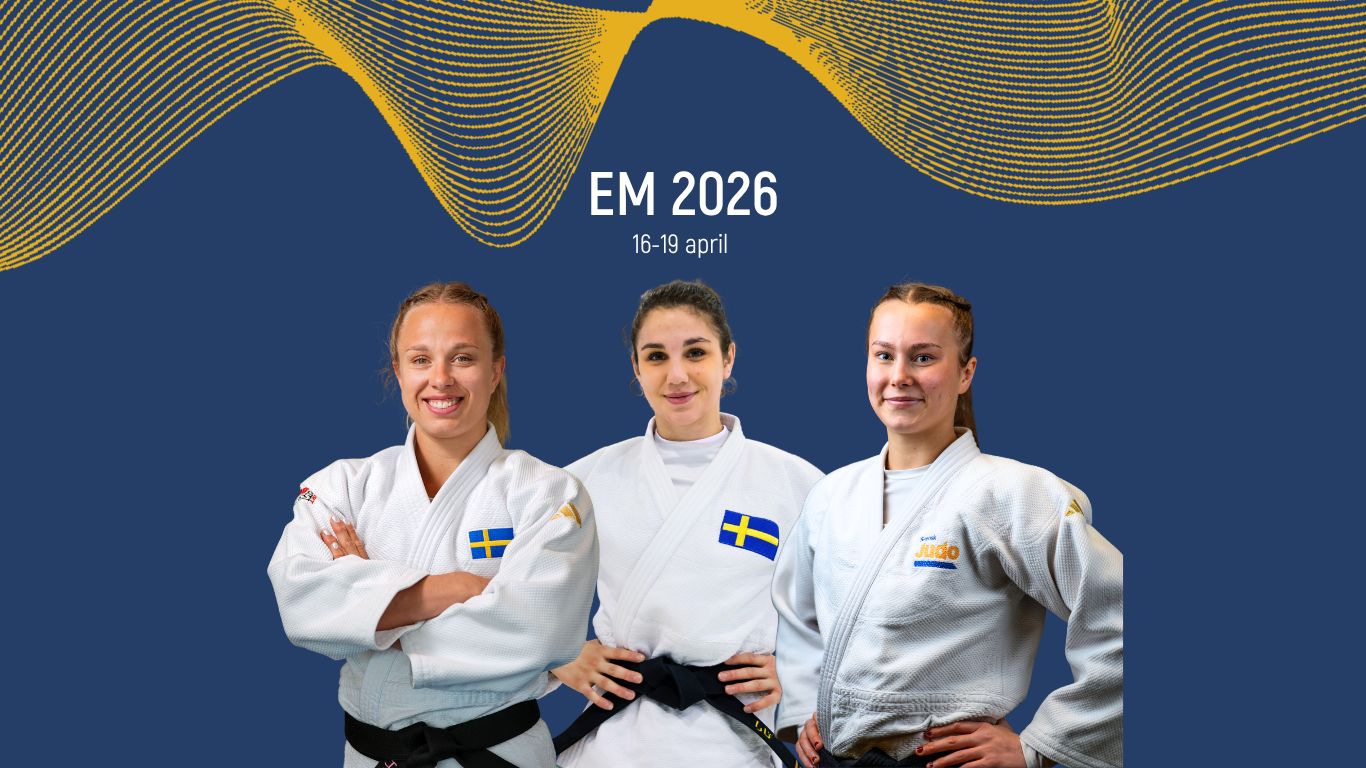Sveriges trupp till EM